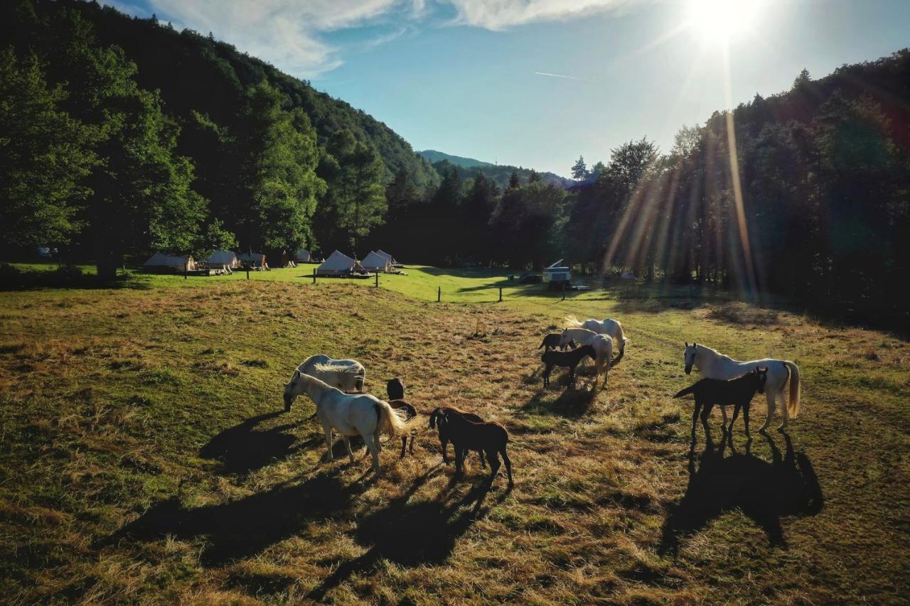 Eco River Camp Radovljica Exterior foto